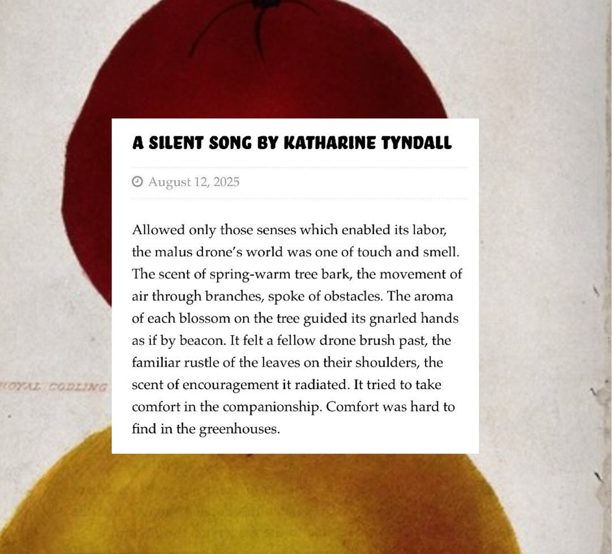 A Silent Song in Hex Literary!